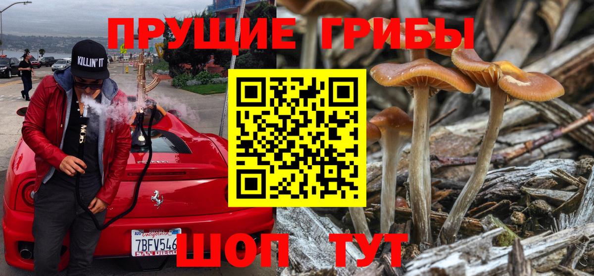 Псилоцибиновые грибы GOLDEN TEACHER  даркнет сайт  Люберцы  Галлюциногенные грибы Magic Shrooms  Вход с VPN 